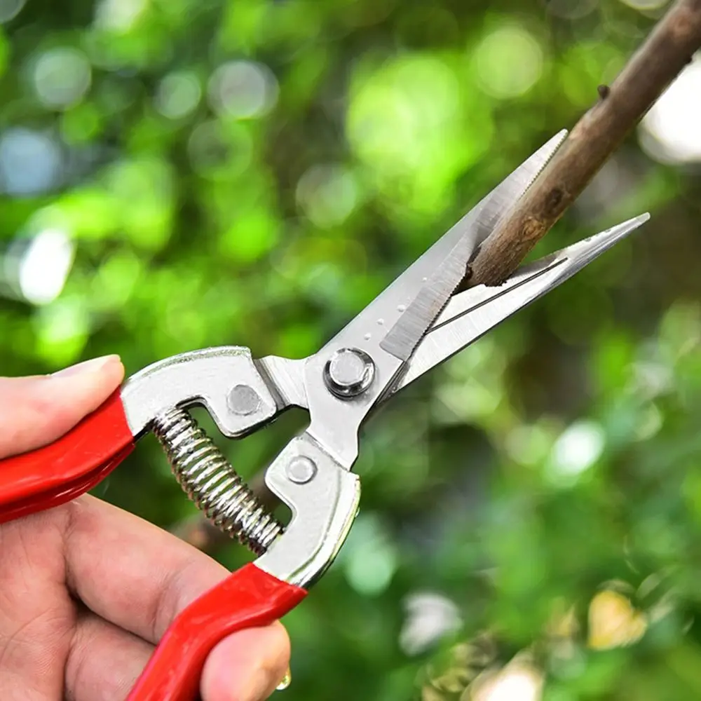 1Pcs Florist Scissor Tool Tree Pruning Shear Gardening Leaf Trimmer Garden Scissors Straight Hand Pruner Micro-Tip Pruning Snips