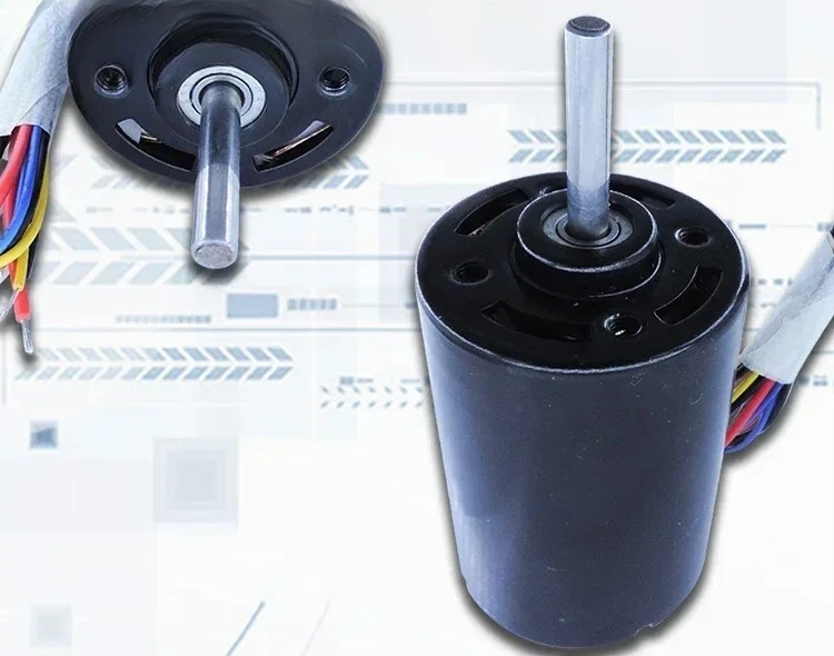 ASLONG RS-4260 DC Brushless Motor Dual Ball Bearing Internal Drive Micro Motor Steel Pipe Motor