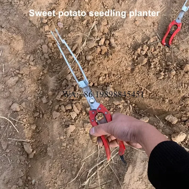 WMWMNU Small Portable Sweet Potato Seedling Transplanter Planting Tool for Pepper Seedlings Transplanting Forceps