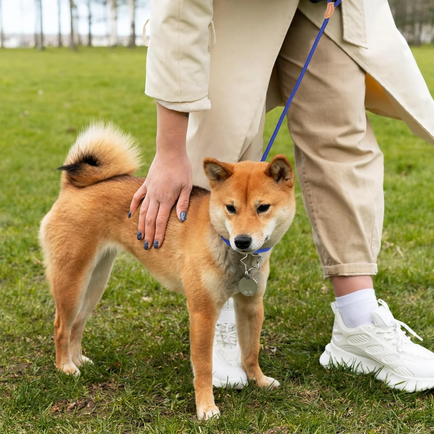 Durable Azul 5 pies Slip Leads - Correa de entrenamiento para mascotas sin tirones para perros, cuerda de control para perros pequeños, medianos y grandes - Ideal para cachorros T