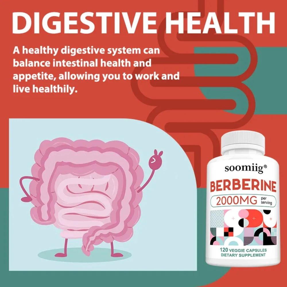 Berberine Capsules for Regulate Blood Sugar Improve Blood Lipid Metabolism Support Intestinal Health Promotes Digestive Health