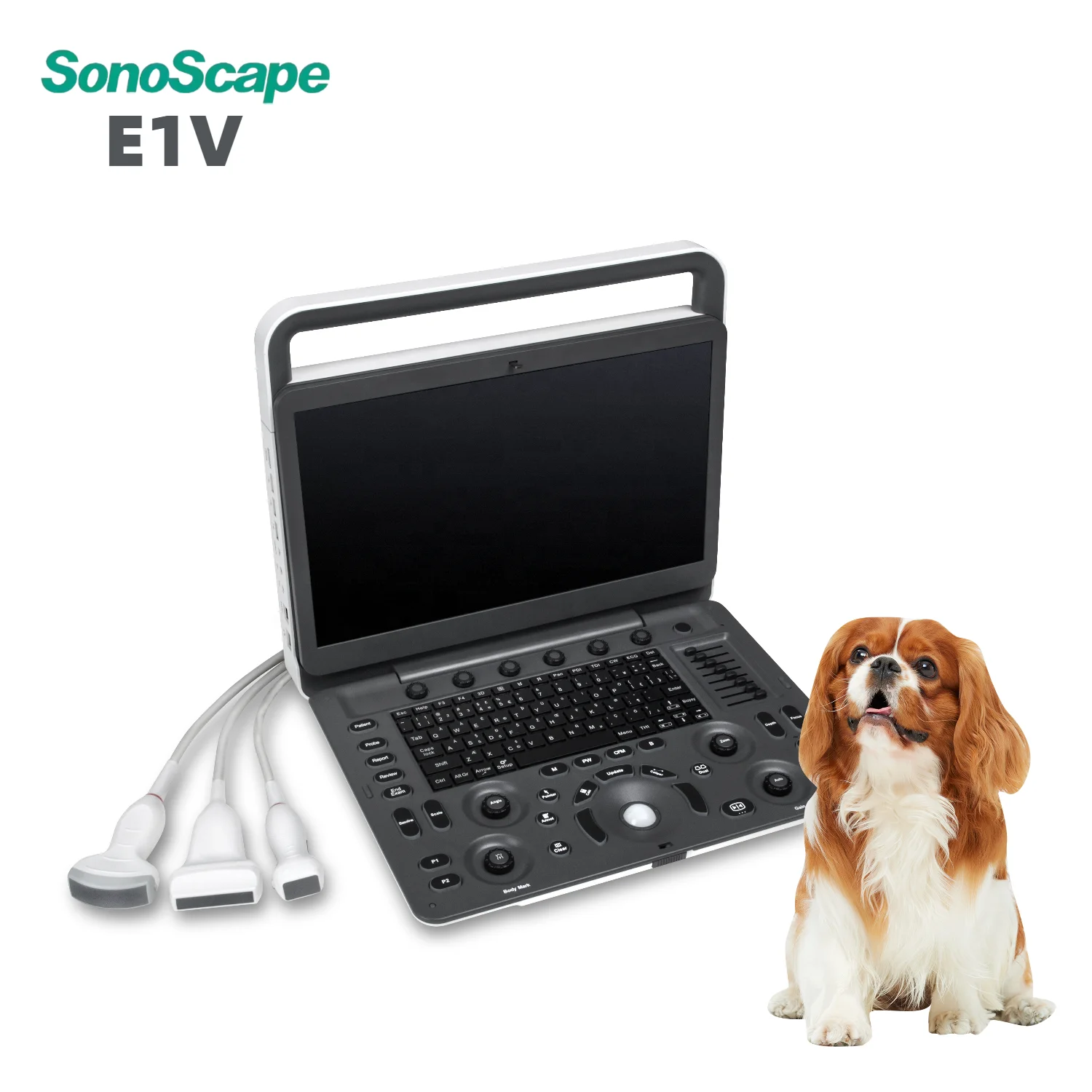 SonoScape Veterinary Instrument Ultrasound B/W Ultrasonido Portatil E1vet Ultrasound Machine for Horse