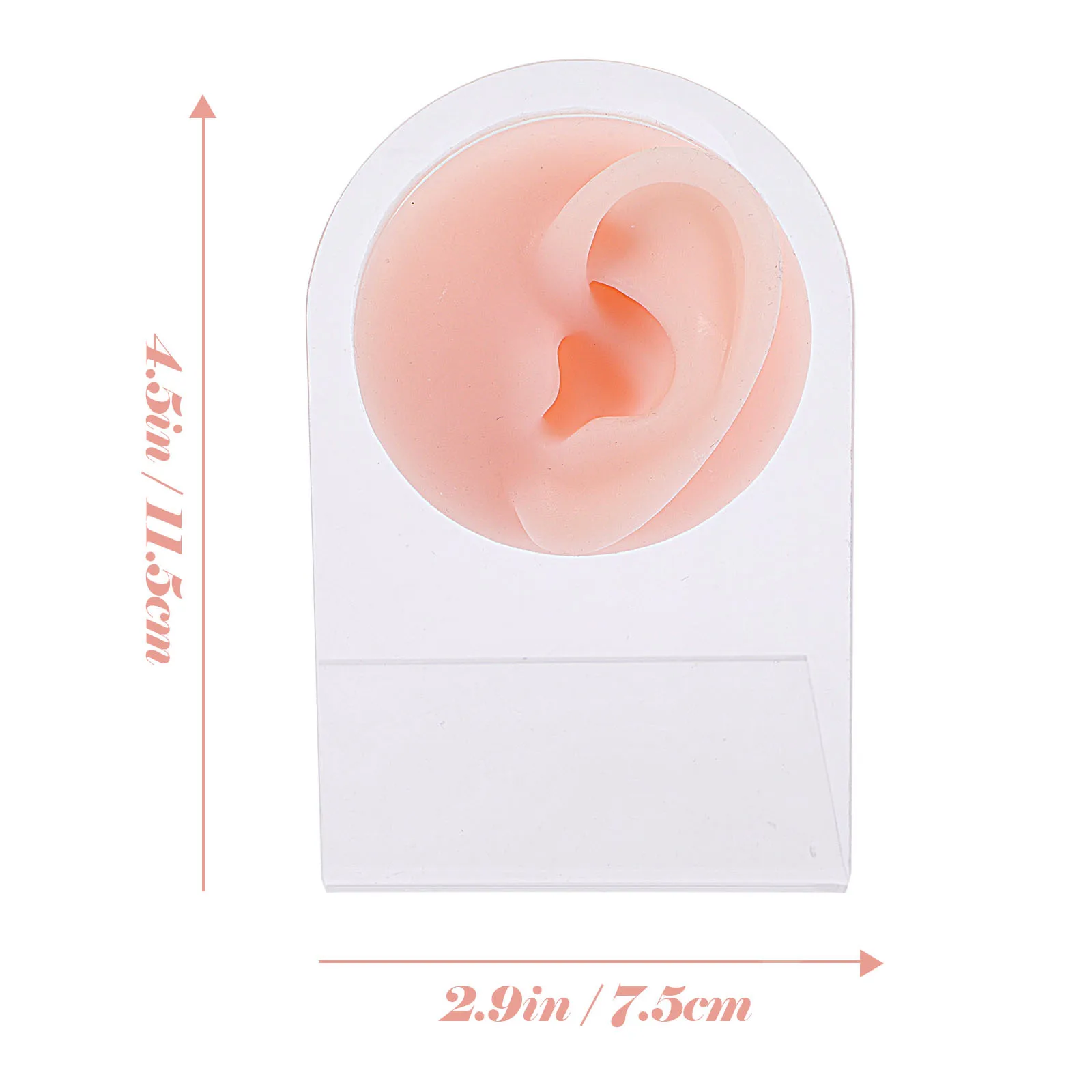 Studs Silicone Piercing Practice Jewelry Display Tool Acrylic Base Mold For Acupuncture Display Tool Mold