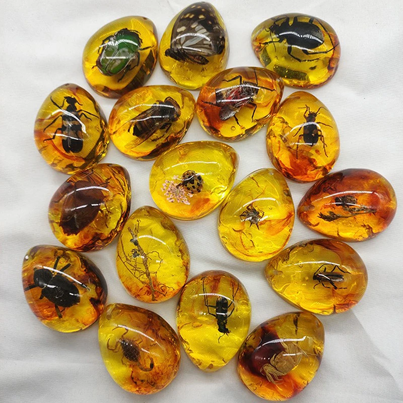 1PC DIY Hand Crafts Gift Insects Amber Gemstone Scorpion Natural And Mineral Stones Home Decoration