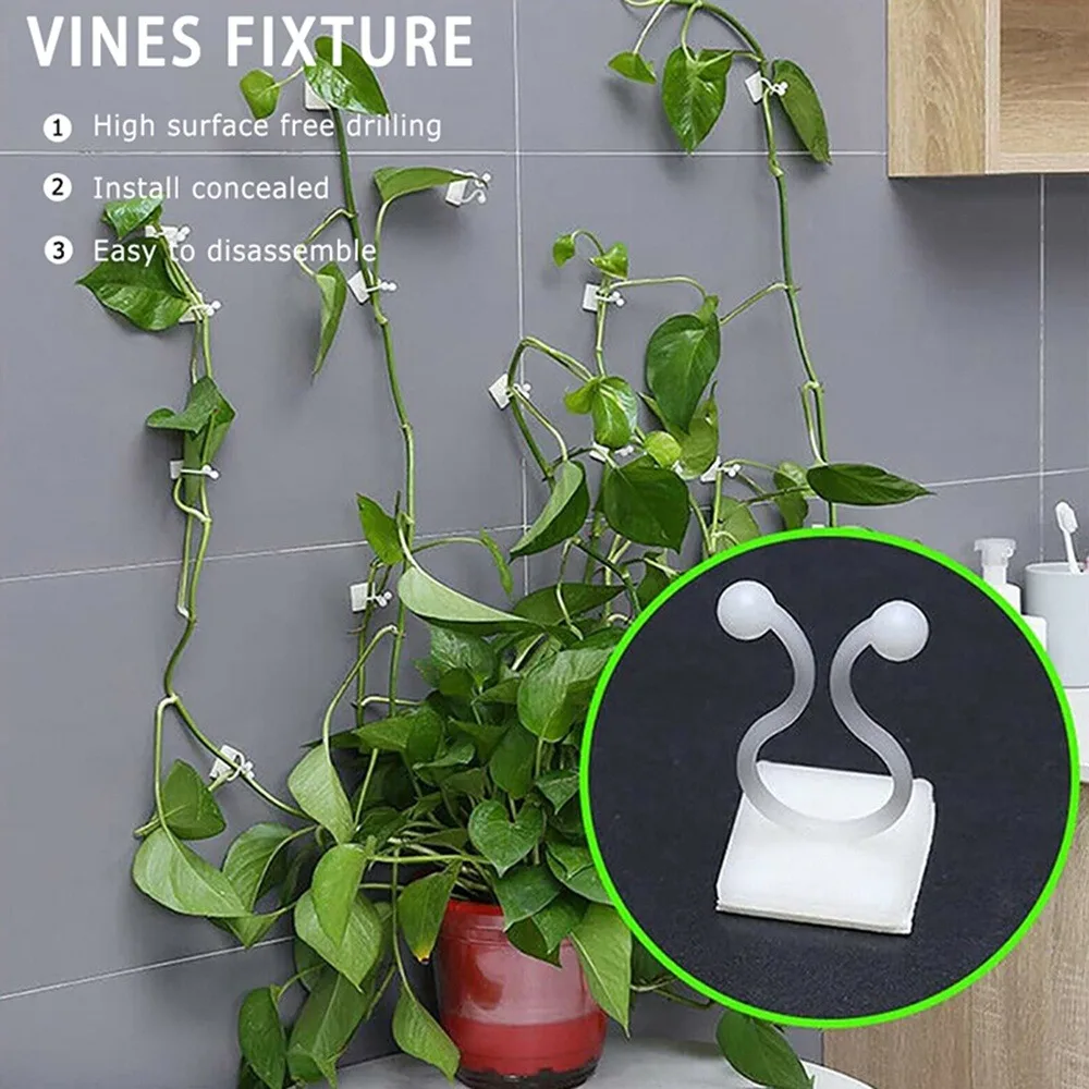 50PCS Invisible Plant Climbing Clip Wall Rattan Sticky Hook Vines Fixing Clips Fixture Invisible Wall Vine Clips Hooks Holder