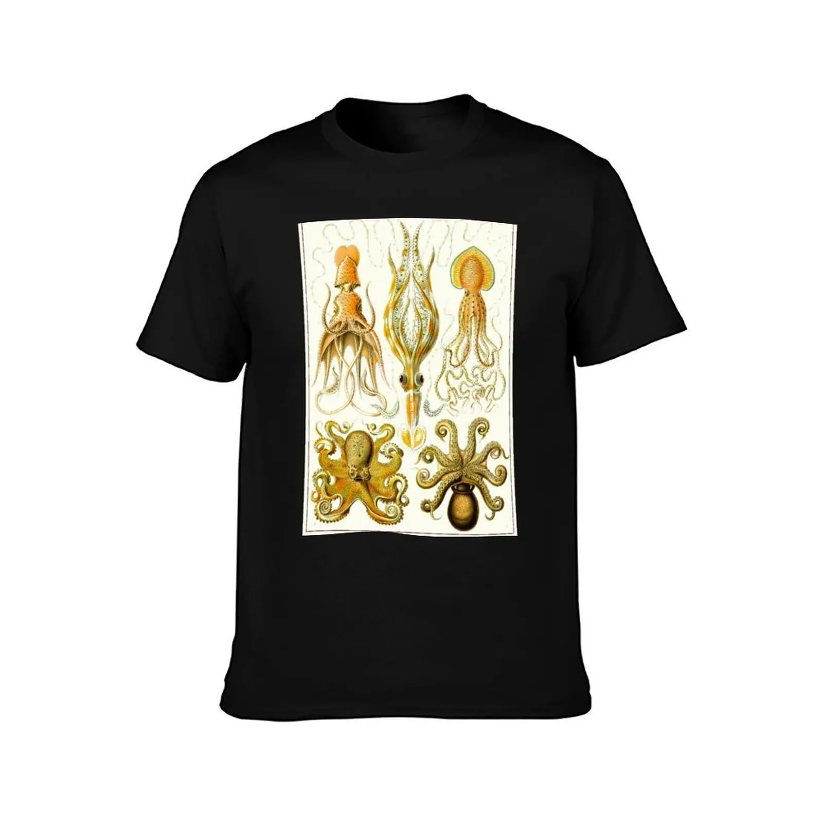 Plate 54. Gamochonia, an old grouping of squids and octopods. T-Shirt Cool Feeling Summer Tee Shirt