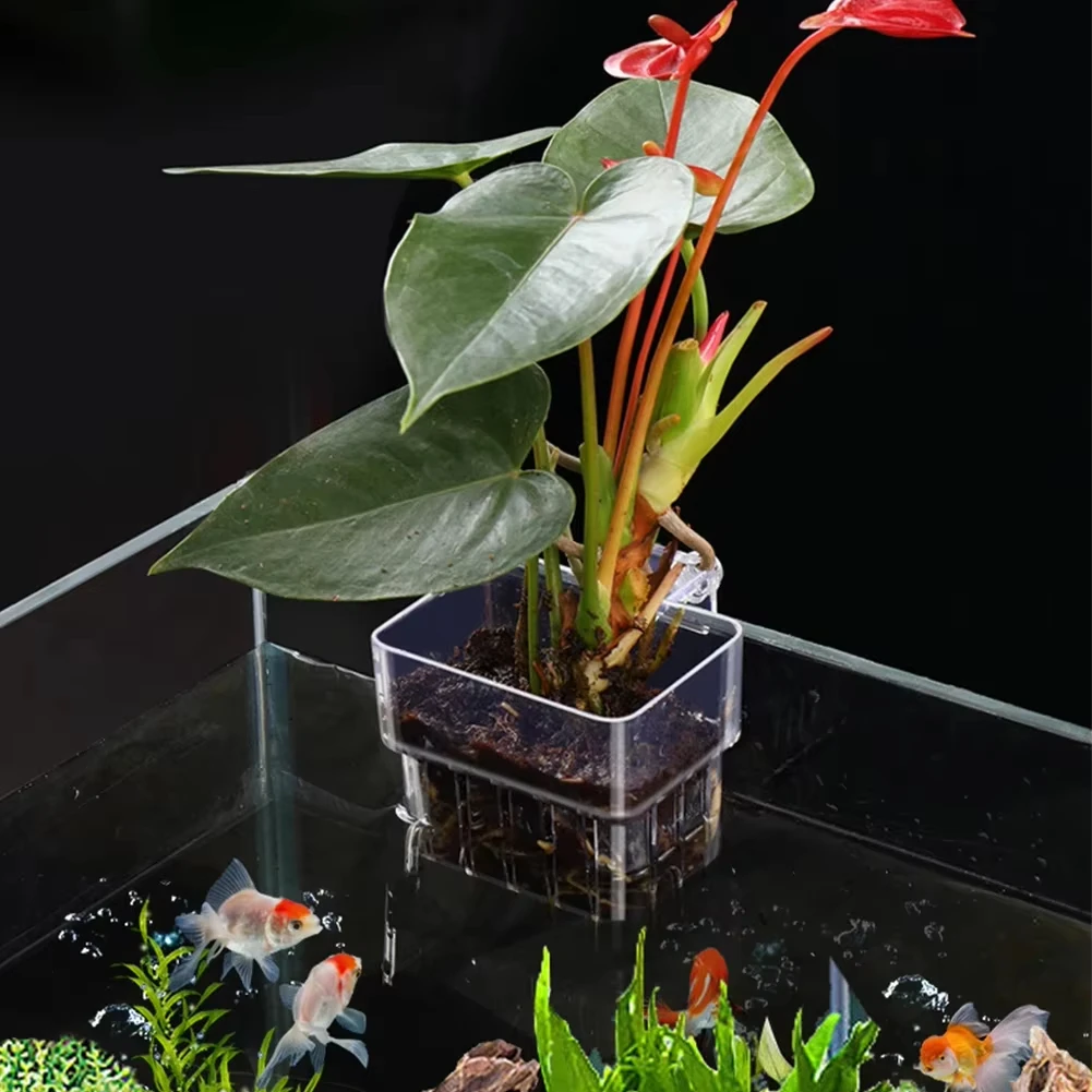 Soporte para plantas de agua de acuario, tazas colgantes para macetero de acuario, cesta para plantas montada en la pared, maceta de plástico para plantas acuáticas