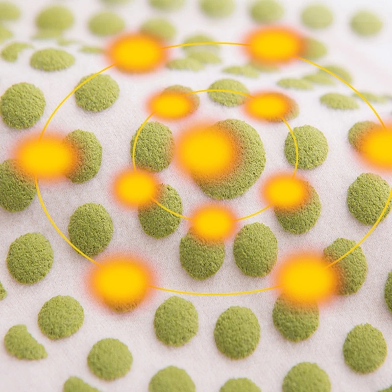 حزام دافئ للتدفئة الذاتية، حزام الظهر، حزام الظهر، حزام الحرارة المرن، حزام الكلى، حزام دعم الظهر الدافئ