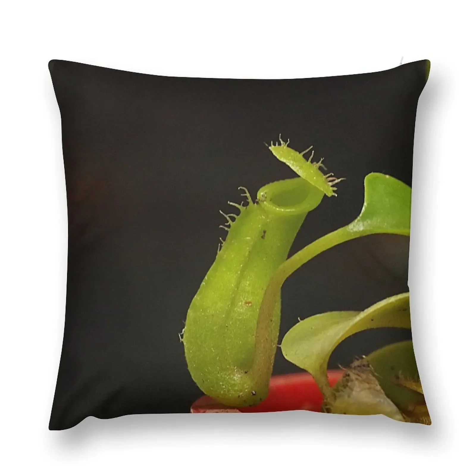 

Pitcher Plant Throw Pillow Sofa Cover Cushions Home Decor New year christmas pillowcases pillow