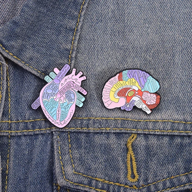 Enamel Pin Creative Brain Organ Structure Cartoon Metal Badges Clothing Packaging Accessories Pendants Medals Pins for Backpacks