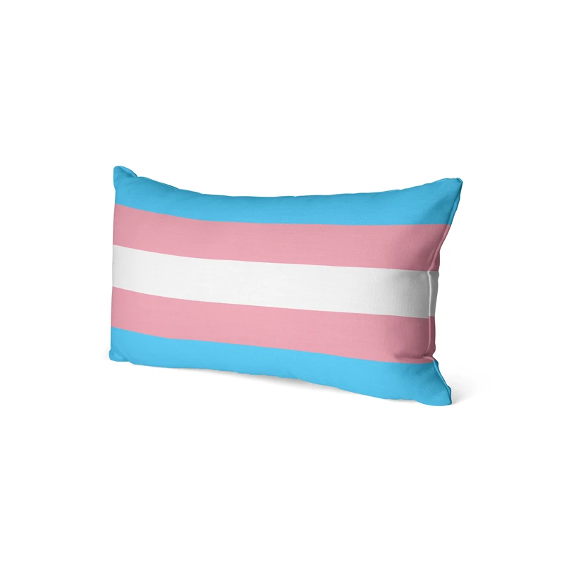 

Aertemisi 20'' x 12'' Transgender Pride Flag Rainbow LGBT Rectangular Throw Pillow Cushion Covers Cases Pillowcases 50cm x 30cm