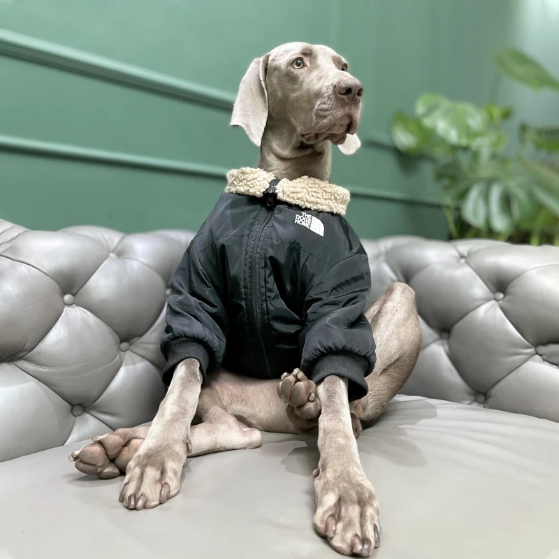 Fashion Waterproof Large Dog Clothes Luxury Warm Big Dog Jacket with Zipper Labrador Golden Retriever Dobermann Clothing