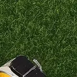 1 conjunto bonito casa de bonecas em miniatura fluorescente fada elfo porta janela modelo casa móveis decoração brinquedo