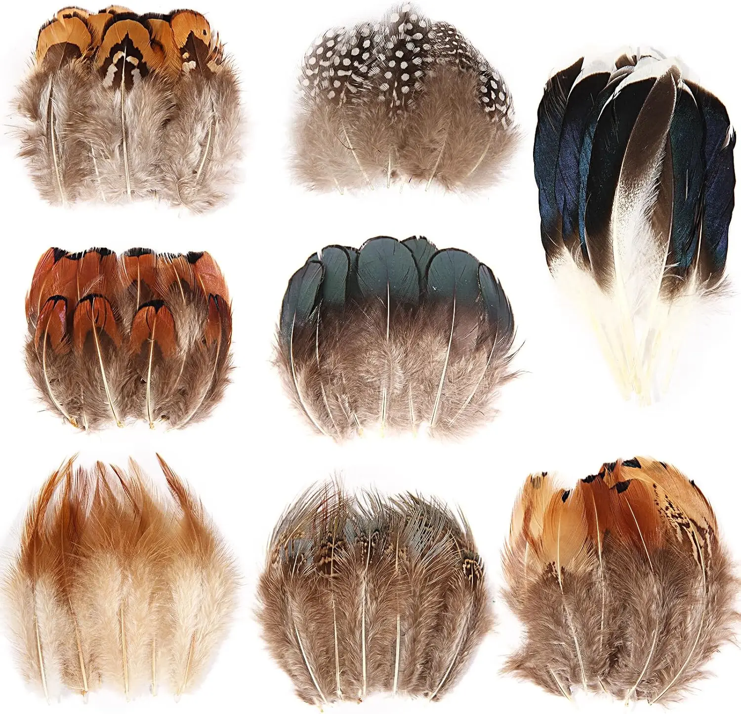 

240pcs Natural Feathers Small 4 Styles Bulk for DIY Crafts Hat Wedding Home Party Decoration Feathers