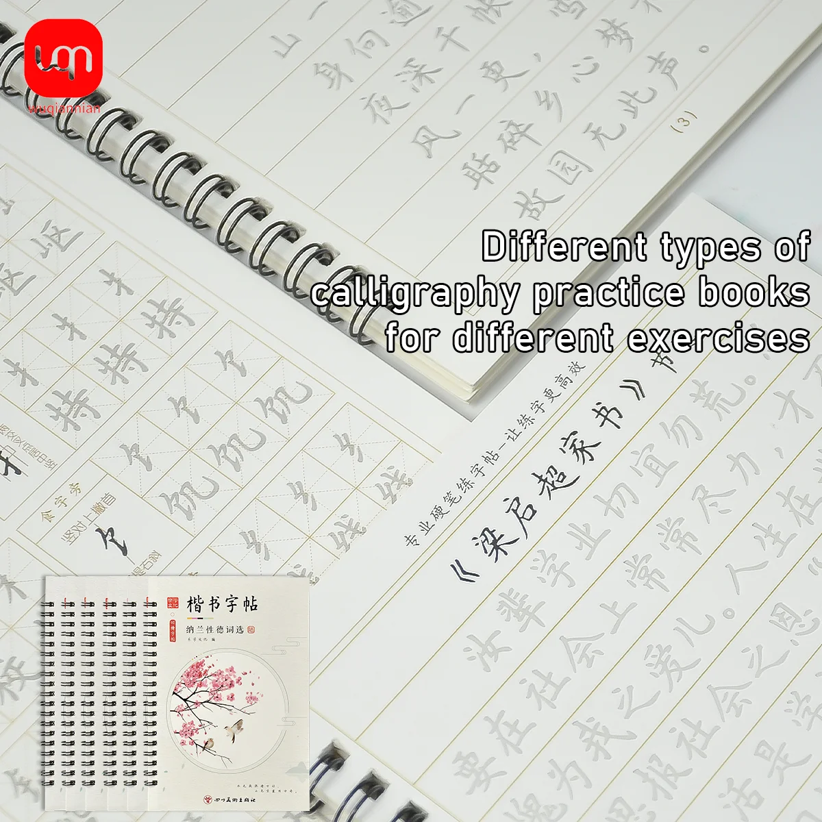 WQN-6PCS 3D Chinese Characters Reusable Grooved Calligraphy Copybook for Learning Chinese Characters, Adult Writing Book, Gift