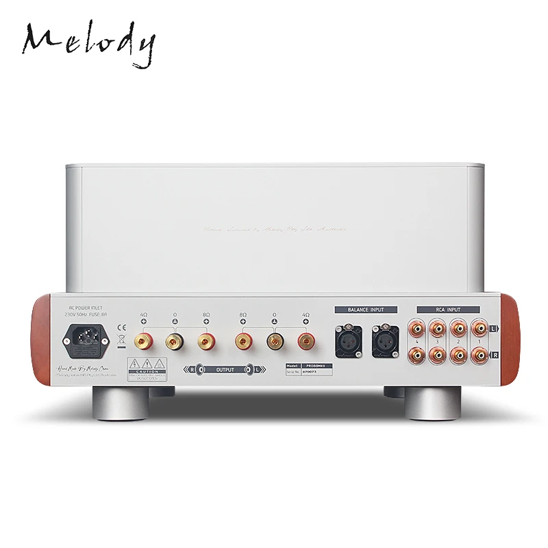 Nuovo PRO88 MKII Febbre HIFI Classe Macchina Biliaria Vero Tubo Elettronico Combinato Push Pull Amplificatore WE407 XF180 KT88