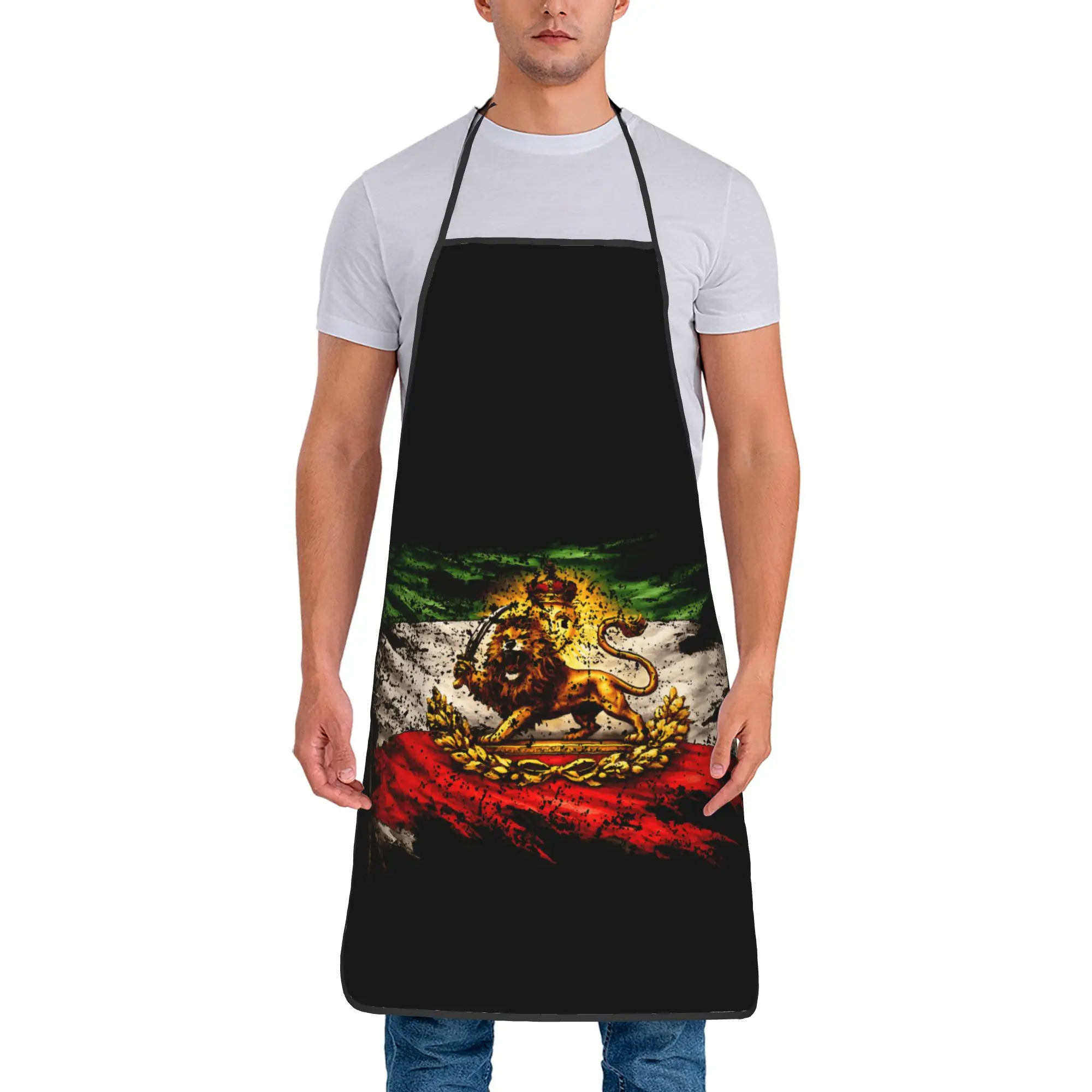 

Flag of Lion Iran Apron Cute Cooking Kitchen Accessories Restraunt Barber Aprons without Pocket
