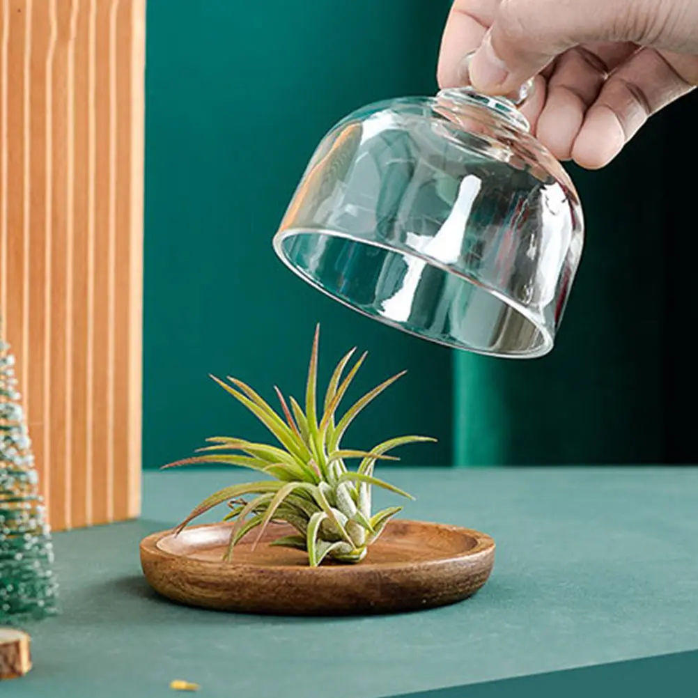 

1Set Multifunctional Glass Wooden Cake Tray for Sweet Display Tableware At Home and Commercial Use Cake Plate Lid Kit