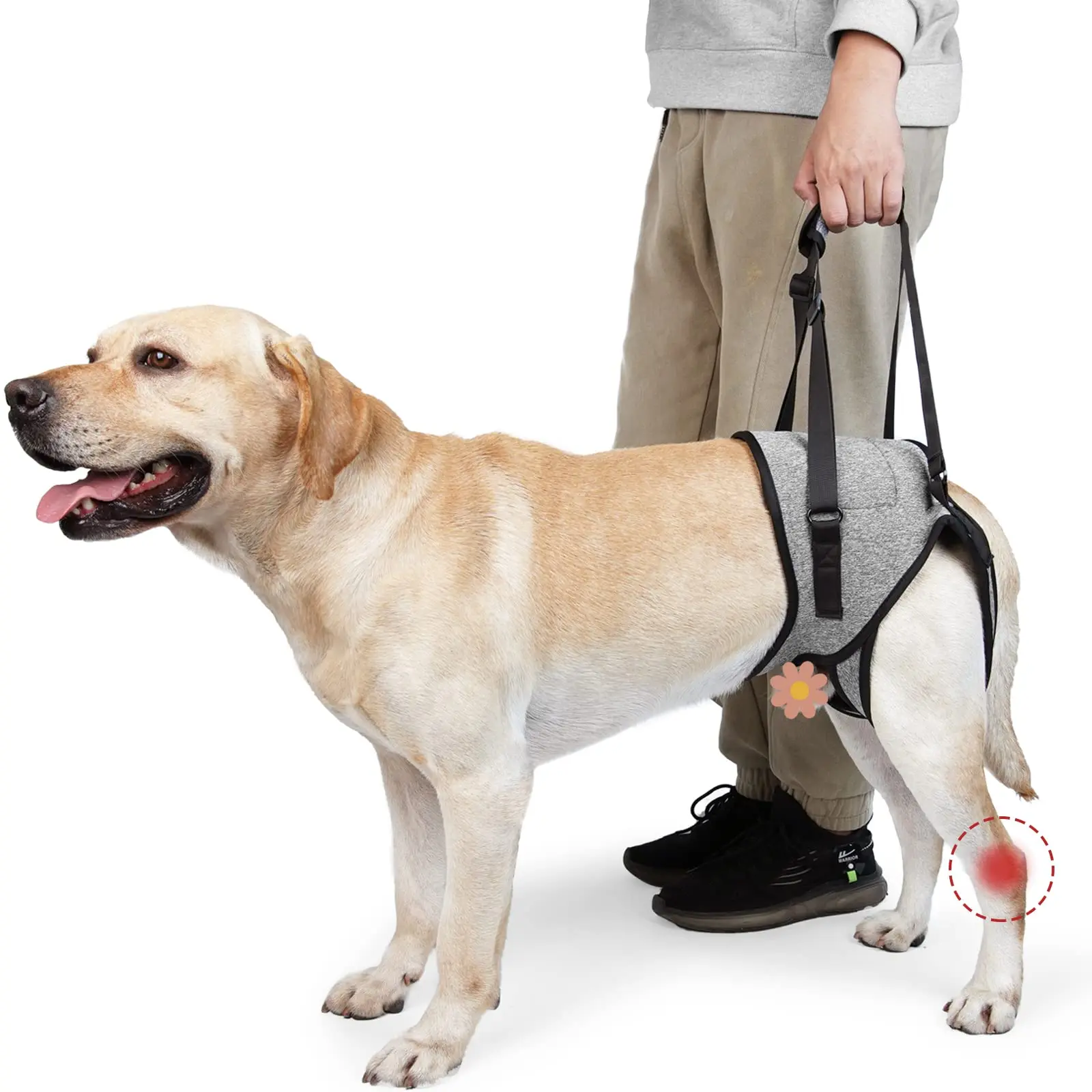 Dog Lift Harness Ve… - image