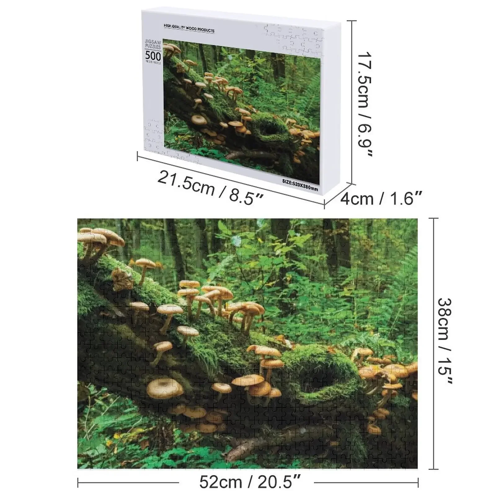 Bialowieza Funghi della foresta Jigsaw Puzzle Decorazioni in legno Dipinti Puzzle personalizzato
