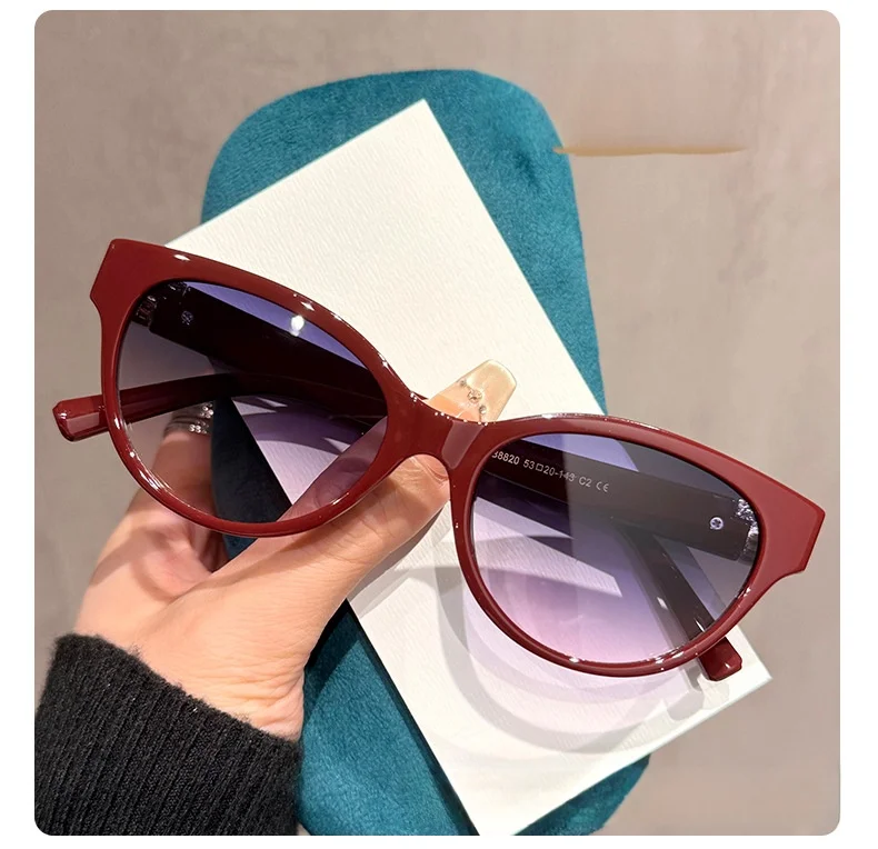 Neue Sonnenbrille im Cat-Eye-Stil mit T-förmigen Bügeln und kleinem Duft für Damen DS-8820 – Detail 12