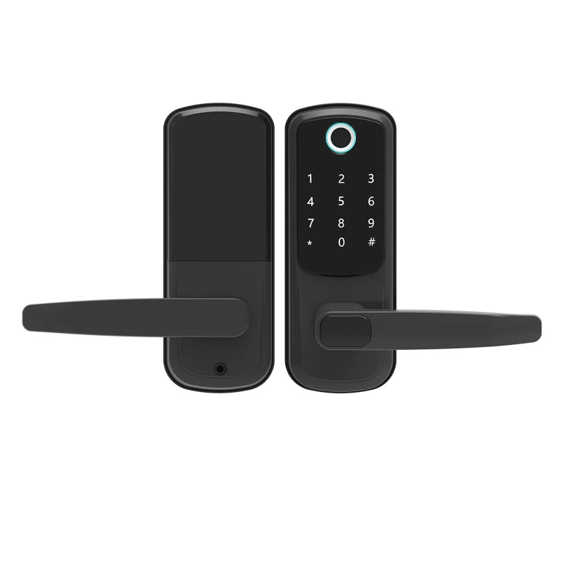 Cerradura inteligente  Smart Electronic Keypad Lock for Dormitory Rented Home Apartamento Dynamic Code
