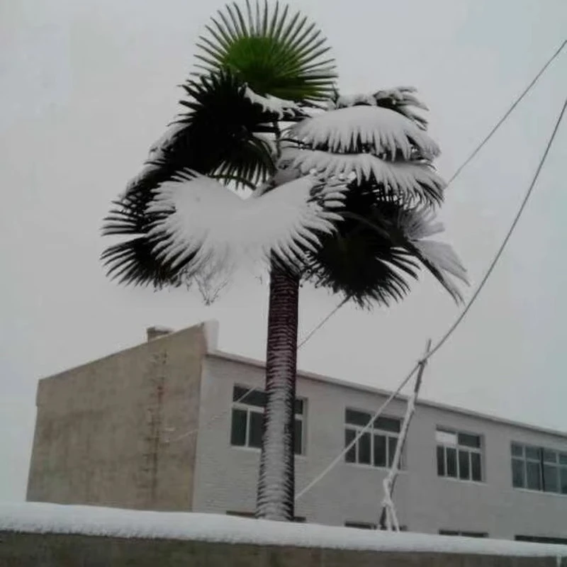 #￥High Quality Certified Plastic Wood Artificial Palm Tree UV Resistance for Office & Garden Landscape Decoratives for Festivals