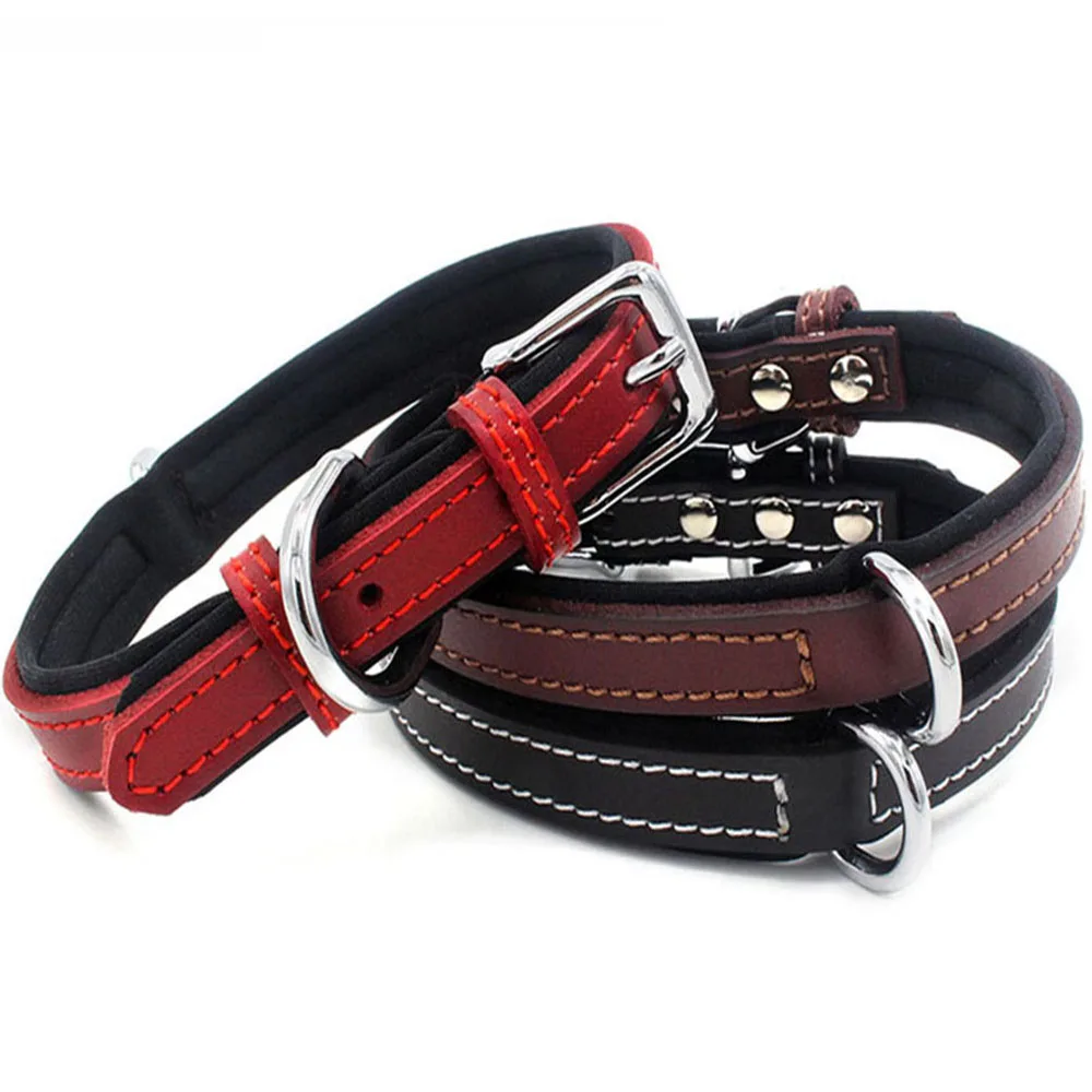 Collar para perro de neopreno acolchado con hebilla de metal_voghion.com