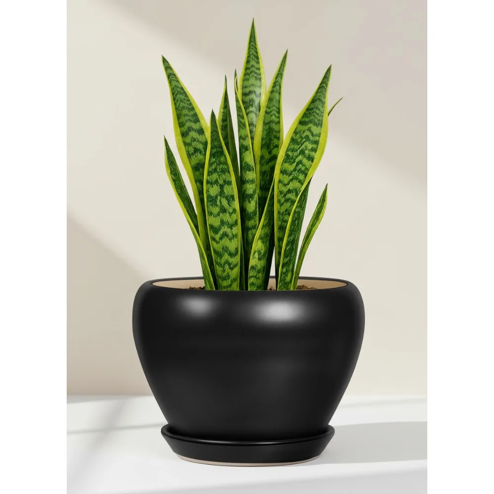 

8 Inch Ceramic Plant Pot with Drainage Hole and Tray, Modern Round Flower Pot for Indoor Outdoor Garden Decor