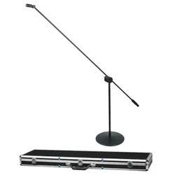 Pro Stage Singing Standing Confenser Microphone Super-Cardioid For Choir Group Chorus Studio Pole with Flight Case
