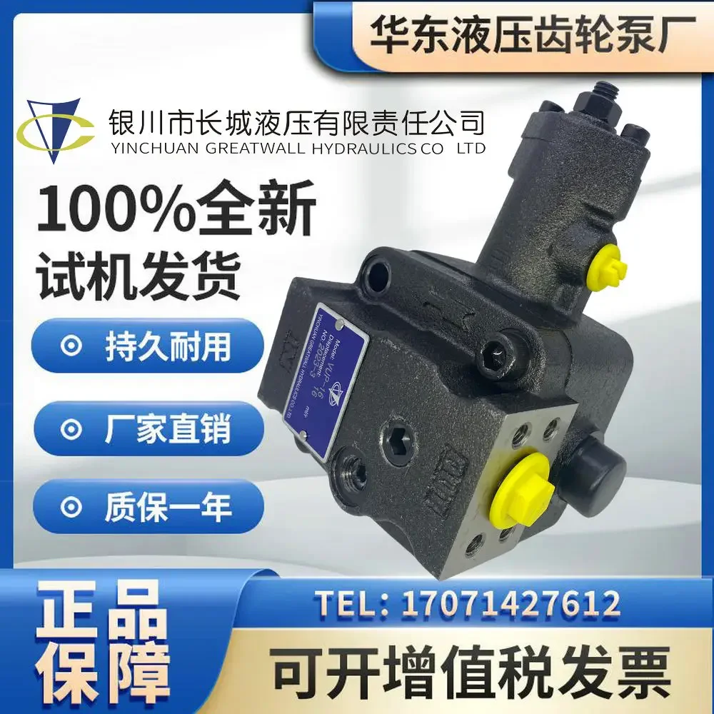 Pompa dell'olio idraulico VUP-A16-6 Pompa a lama speciale per tornio CNC VUP-23 VUP-16-6 OK Nuovissima in stock