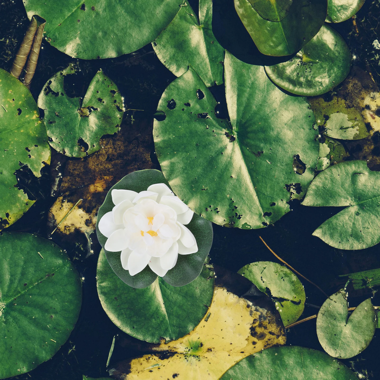 

4 Pcs Simulated Lotus Leaf Aquarium Floating Plants Artificial Water Lily Fountain Lilies Flowers for Large Decoration