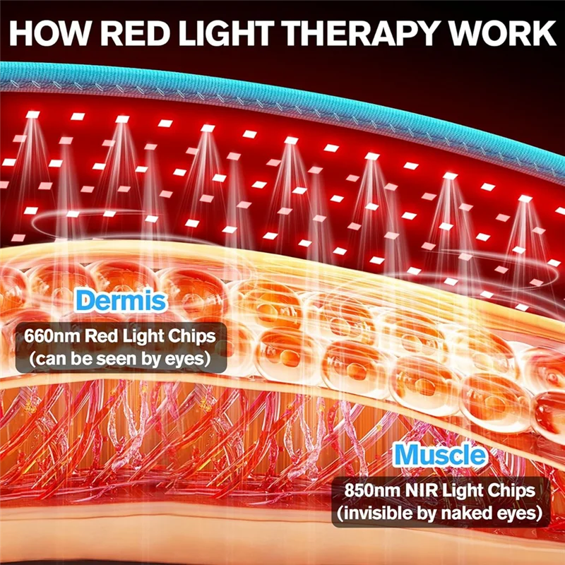 حزام ملفوف للعلاج بالضوء الأحمر من ABLE 660 نانومتر و 850 نانومتر ضوء بالأشعة تحت الحمراء، مثالي لتخفيف آلام الجسم