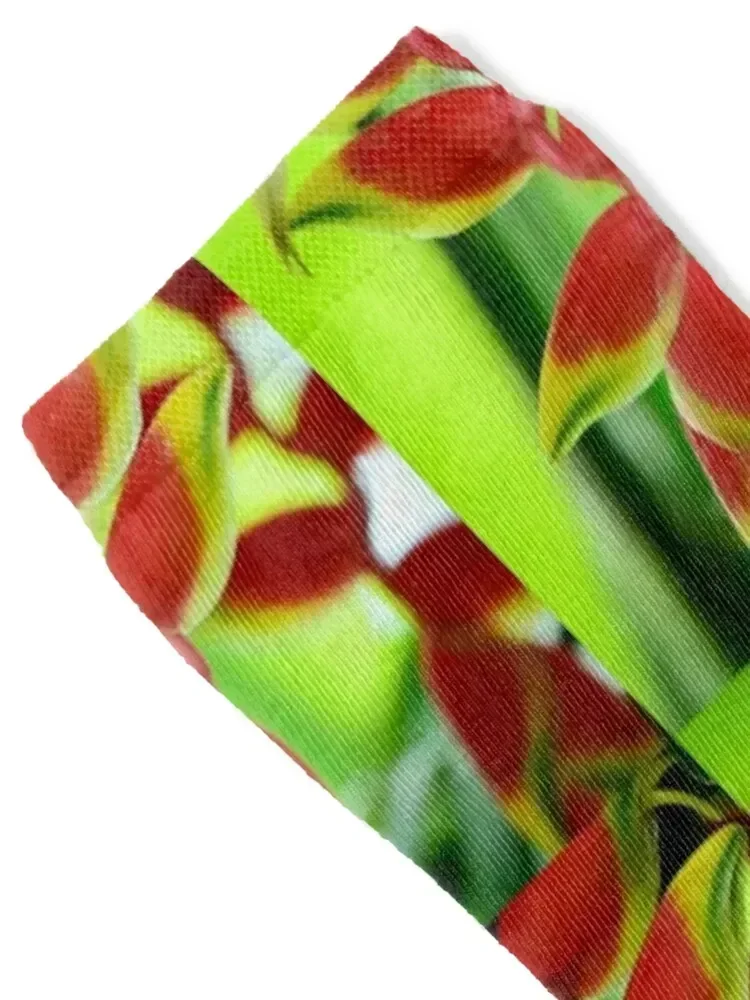 Heliconia Rostrata - Hanging Lobster Claw Socks gifts custom sports Women's Socks Men's