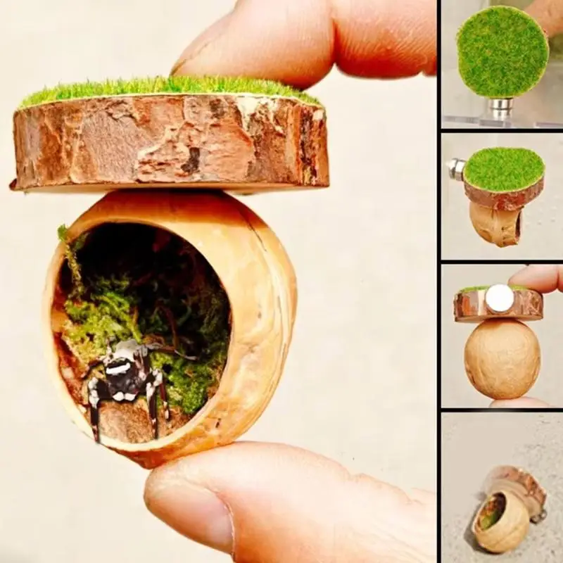 1 Set Handmade Mini Magnetic Spider Habitat Magnetic Spider Hide Cave Natural Hide Decorative Jumping Spider Enclosure Decor