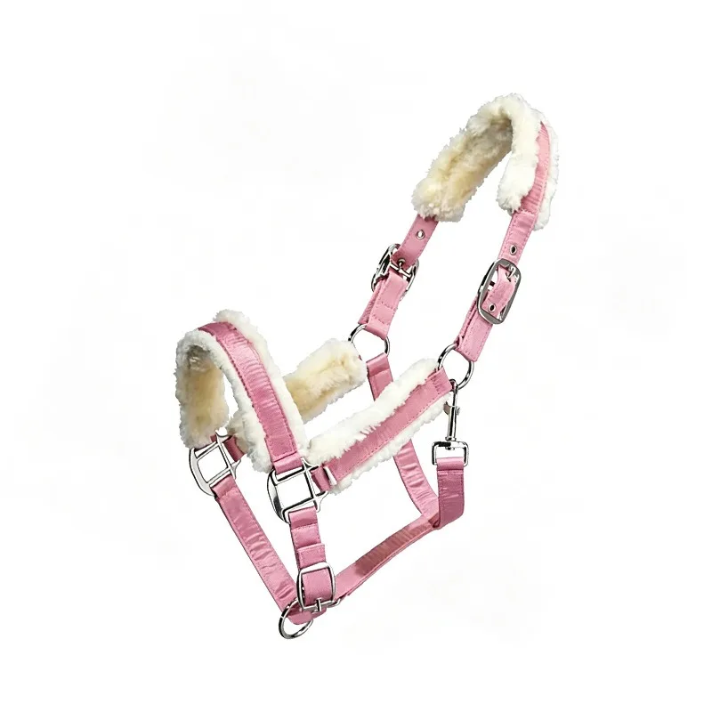 Horse Halter, Adjustable PP Webbing Equine Halter, Soft Padded Horse Headcollar for Horse Leading Training