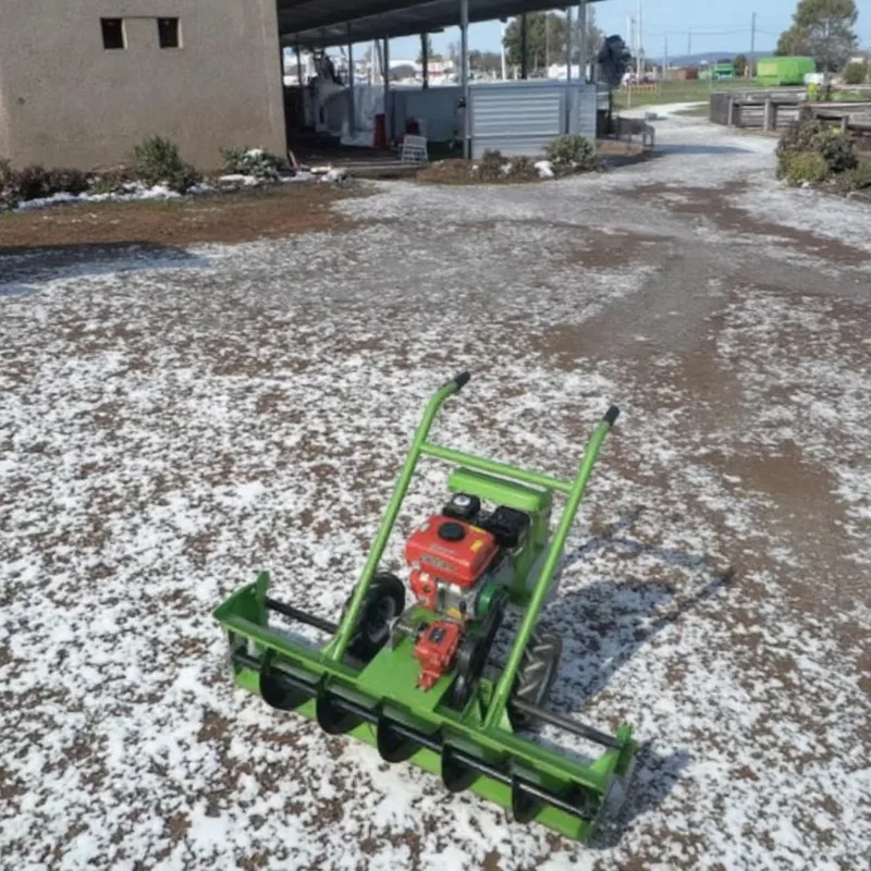 Winter Hot Sale Cheap Snow Removal Machine with Engine Snow Sweeping Snowplow Snowblower