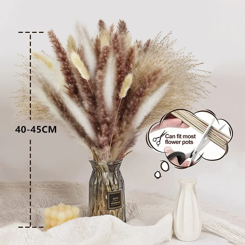 75Pcs Natural Dried Flower Pampas Rabbit Tail Grass Bouquet Boho Home Decor Wedding Tables Centerpieces Decoration Props