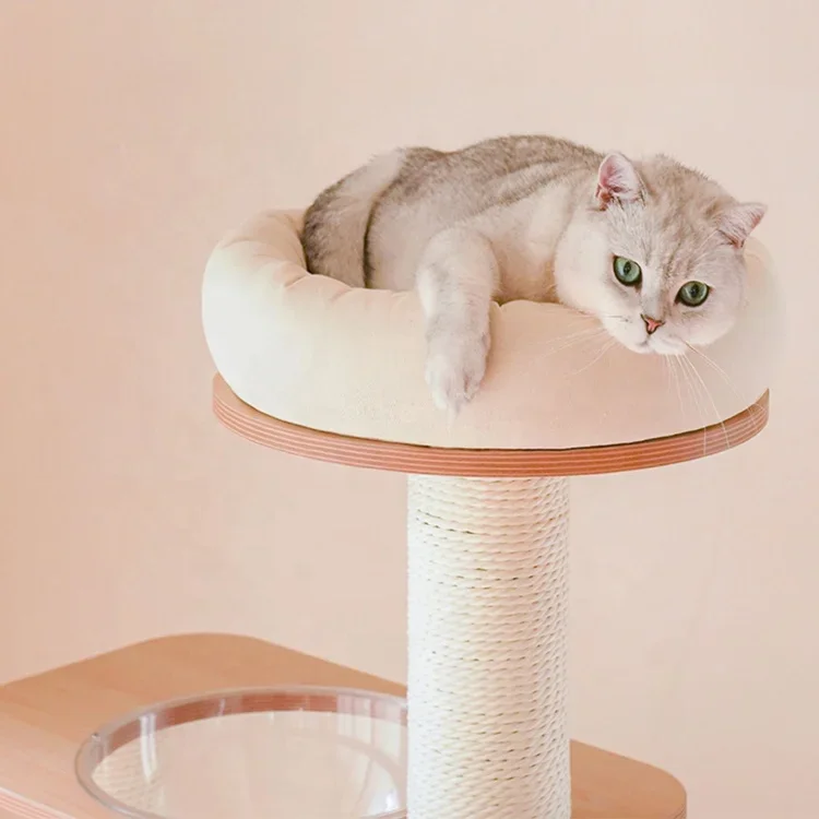 Cat Climbing Frame Indoor Pet Tower With Space Capsule Luxury Cat House Design Cat Tree