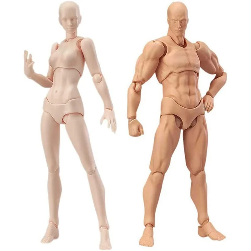 A52TBody Doll, Artists Manikin Blockhead Jointed Mannequin Drawing Figures Male+Female Set (Skin Color)
