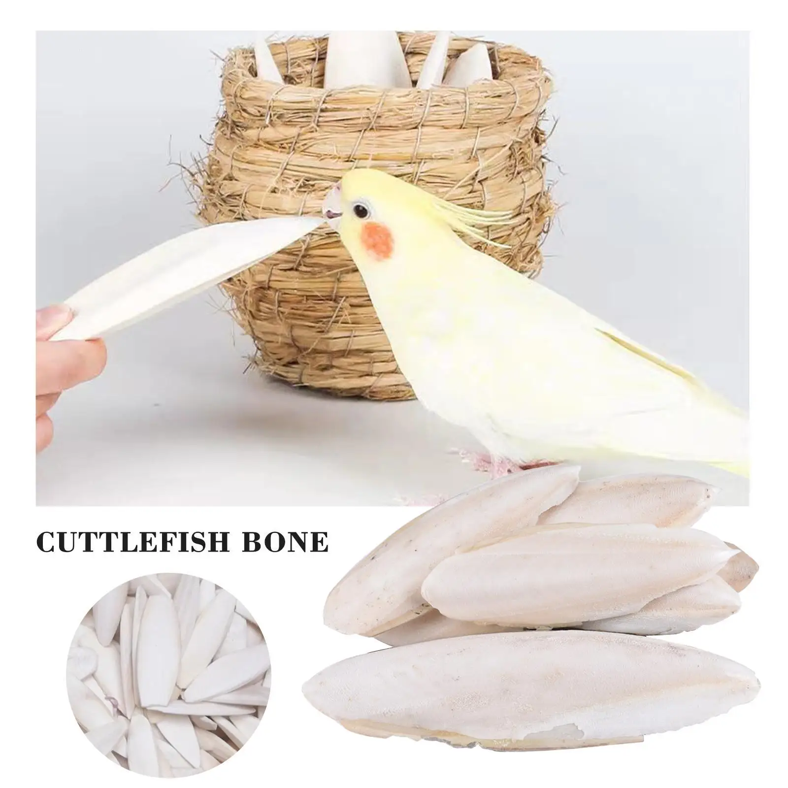 Bird Cuttlefish Natural Fish Bone Parrot Chew Squid Cuttlefish Bird Food Calcium Supplement Stones Health Supplies Pet Supplies