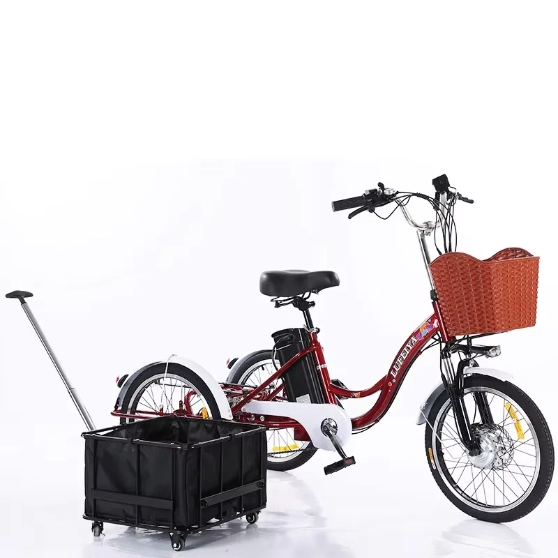 3-wiel elektrische driewieler voor lithiumbatterij 350W 48V 7-speed 20 inch elektrische bakfiets voor volwassen heren met trekmand