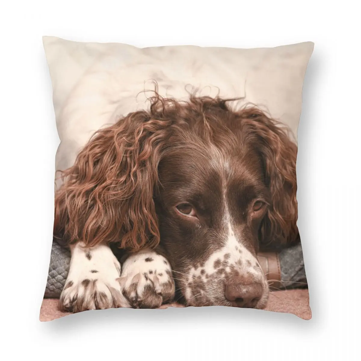 English Springer Spaniel Square Pillowcase Polyester Linen Velvet Pattern Zip Decorative Home Cushion Cover