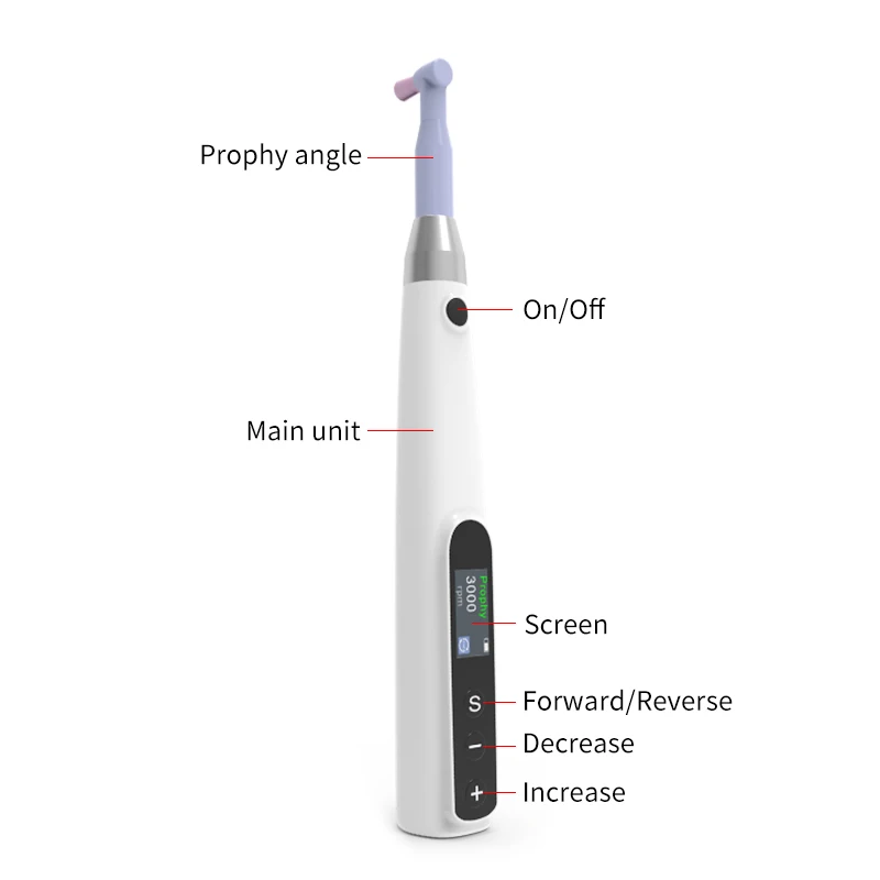 Nuovo Dentale Senza Fili Lucidatura Motore Elettrico Igiene Orale Prophy Macchina 3000 giri/min Ricaricabile Endo Motore Strumento di Lucidatura