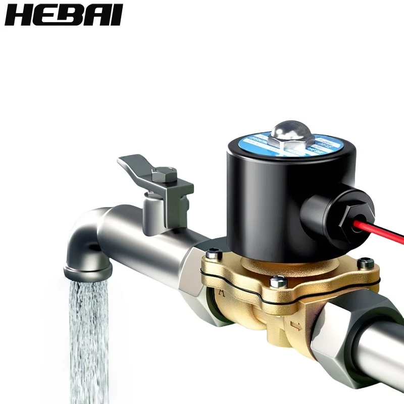 صمام الملف اللولبي الكهربائي HEBAI 1/4 "3/8" 1/2 "3/4" 1 "DN8/10/15/20/25/50 هوائي مغلق عادة لزيت الماء والهواء 12 فولت 24 فولت 220 فولت #3