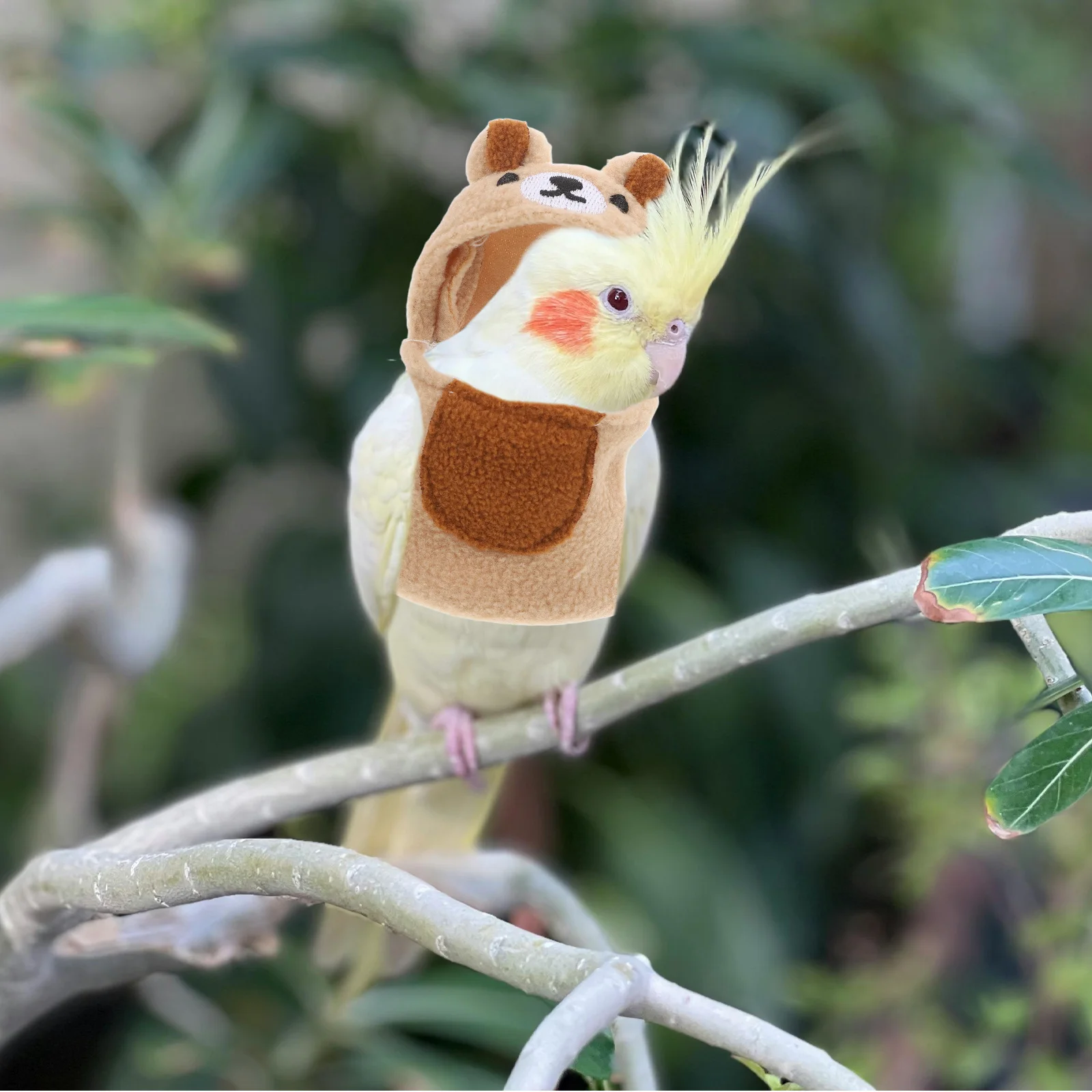 

Pet Bird Clothes Thickened Warm Hoodie for Cockatiel Parrot Bird Diaper Alternative Soft Breathable Outfit for Small Animal