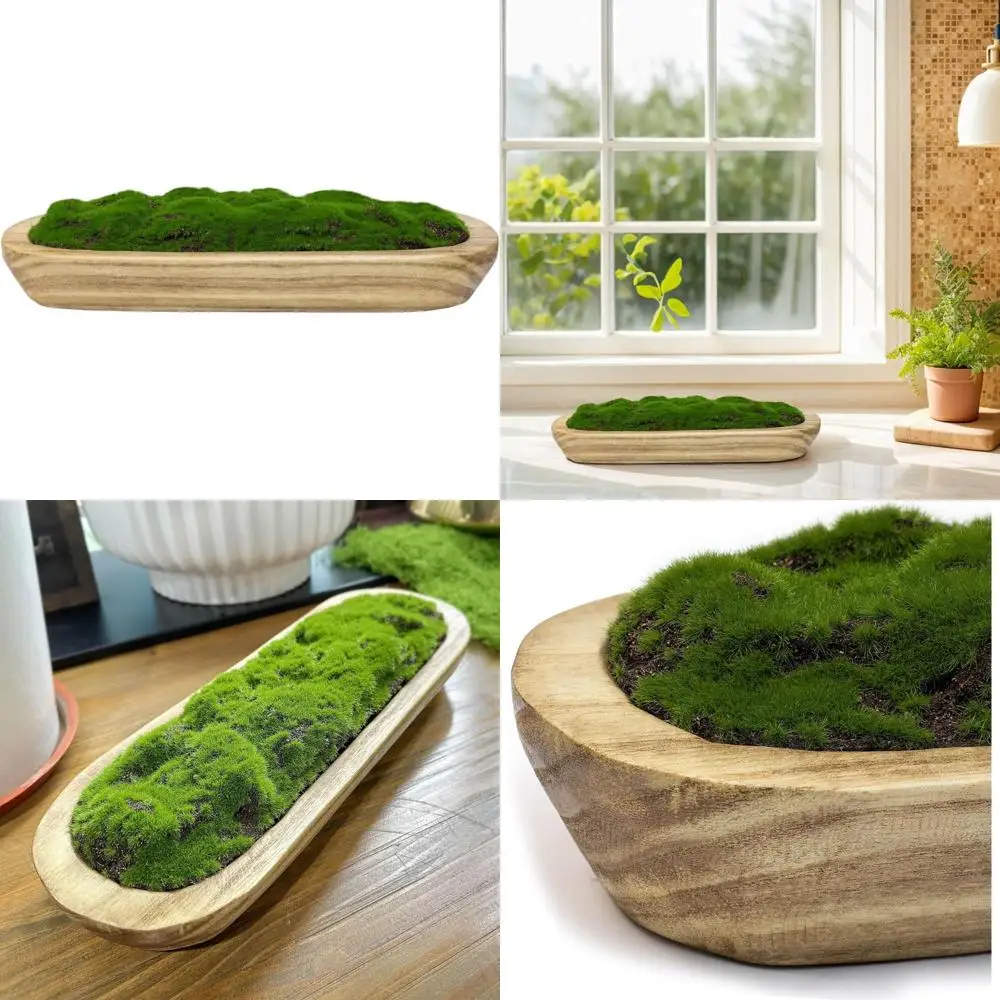 

Экологичная овальная чаша для мха – Декоративный элемент интерьера для дома, свадеб, гостиных, офисов – Не требует особого ухода