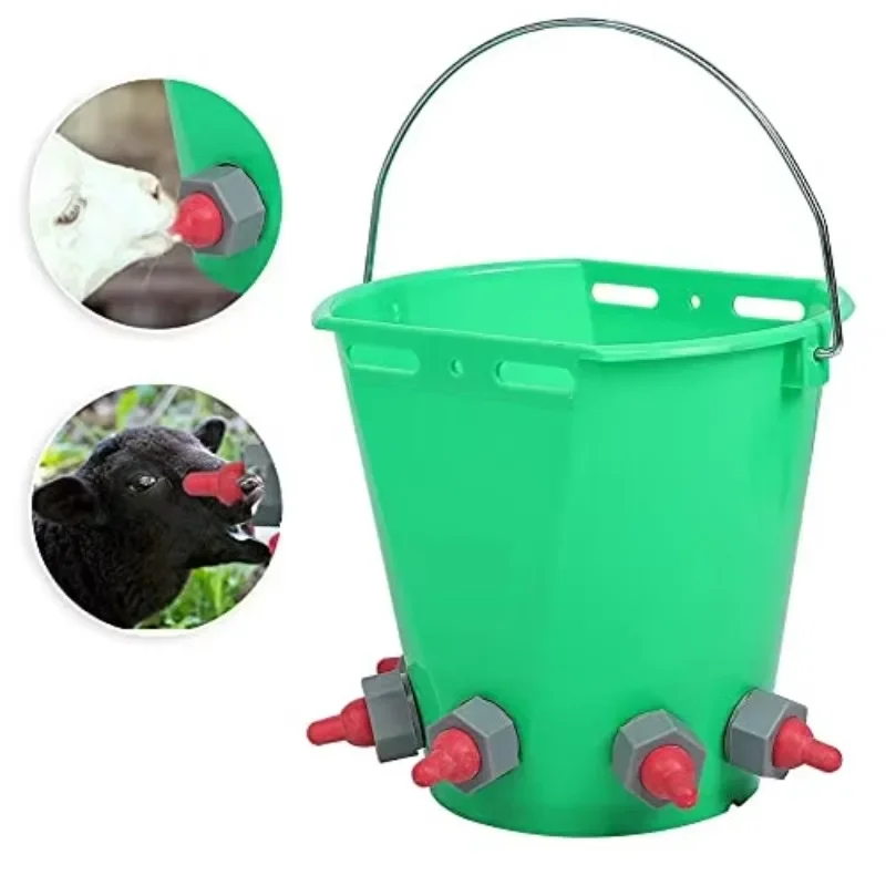 Top Manufacturer Livestock Equipment For Cow Milk Feeder Bucket