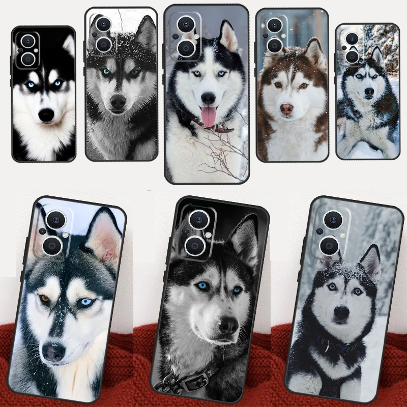 Animal Wolf Dog Husky For OPPO Reno 8T 4Z 5Z 2Z 3 4 5 6 7 8 Lite Case For OPPO Find X5 Lite X2 X3 Neo X6 Pro