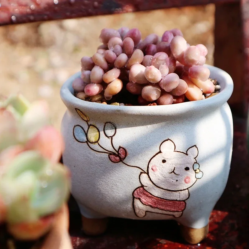 Cute Cartoon Fleshy Flowerpot Hand-painted Creative Personality Rough Pottery Breathable Korean-style Old Pile Small Flowerpot